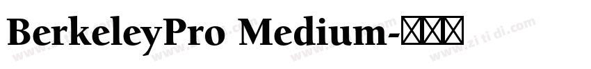 BerkeleyPro Medium字体转换 BerkeleyPro Medium字体转换
